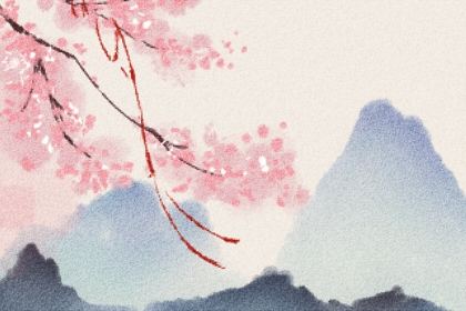 山里来的小老虎