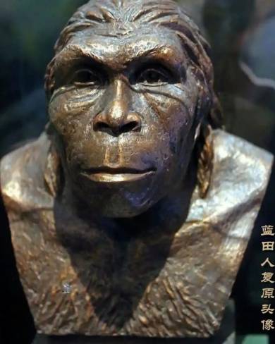 探秘远古：蓝田猿人与北京猿人的时间之辨