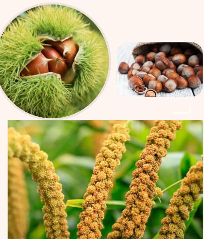 古食探秘:米饭之外的华夏主食万象