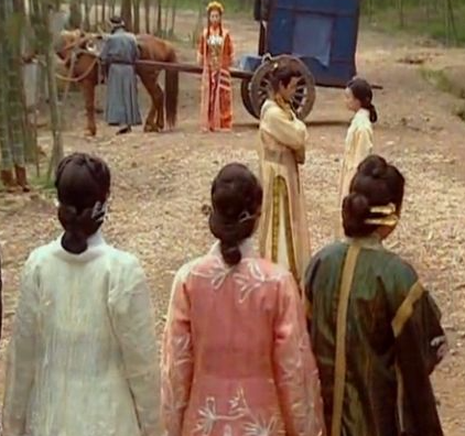 罗氏女:烽火巾帼的传奇终章