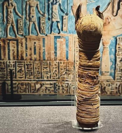 千年不腐之谜:古埃及木乃伊制作全解析