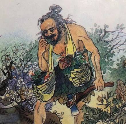 惊!神农亲尝百草的硬核智慧:从五谷到草药,他是如何做到精准辨别的?