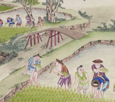 虞荔淡泊避纷争,以书斋筑精神高地