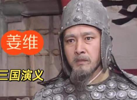 孤剑向中原：姜维二十余年北伐的兴复之路