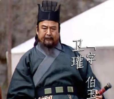 卫瓘平乱巴蜀显奇谋，晚节不保陷政变