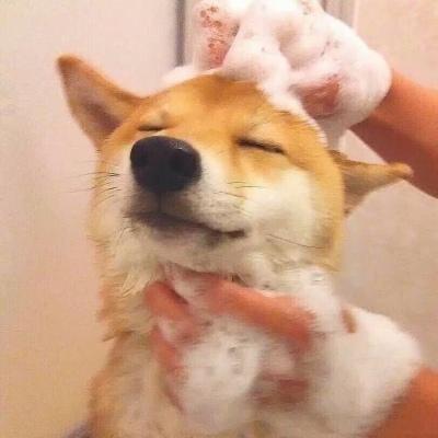 历史故事